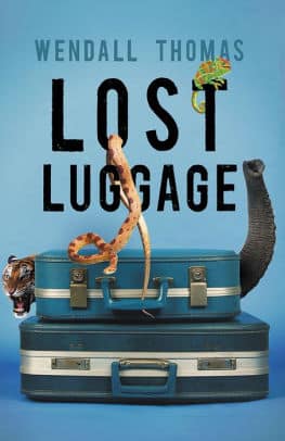 Lost Luggage