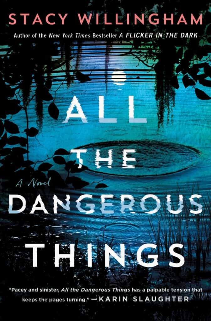 all the dangerous things by stacy willingham